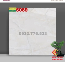 Gạch 60x60 màu sắc hoa văn họa tiết nhìn là mê mã 6069