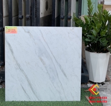 Gạch 60x60 màu trắng sọc ốp nền nhà