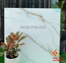 Gạch 80x80 đá bóng kiếng ốp lát mặt tiền