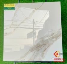 Gạch ốp lát phòng khách 80x80 màu trắng ánh kim vàng
