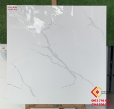 Gạch 80x80 màu trắng vân sọc xám giá rẻ