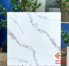 Nhà phân phối Gạch 80x80 - Đá bóng kiếng mẫu hot 2023