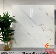 Gạch bóng kiếng 60x60 màu trắng sọc 6076 