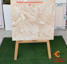 GẠCH CAO CẤP 60X60 MẪU MỚI NHẤT 2020 