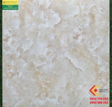 GẠCH LÁT NỀN 60X60 HOA VĂN HỌA TIẾT ĐẸP 6603