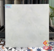 Gạch lát nền 60x60 sang trọng