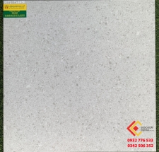 GẠCH LÁT NỀN NHÀ 60X60 TASA 6656 CAO CẤP