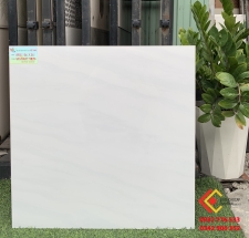 Gạch lát nền prime VN 60x60 màu sắc đẹp